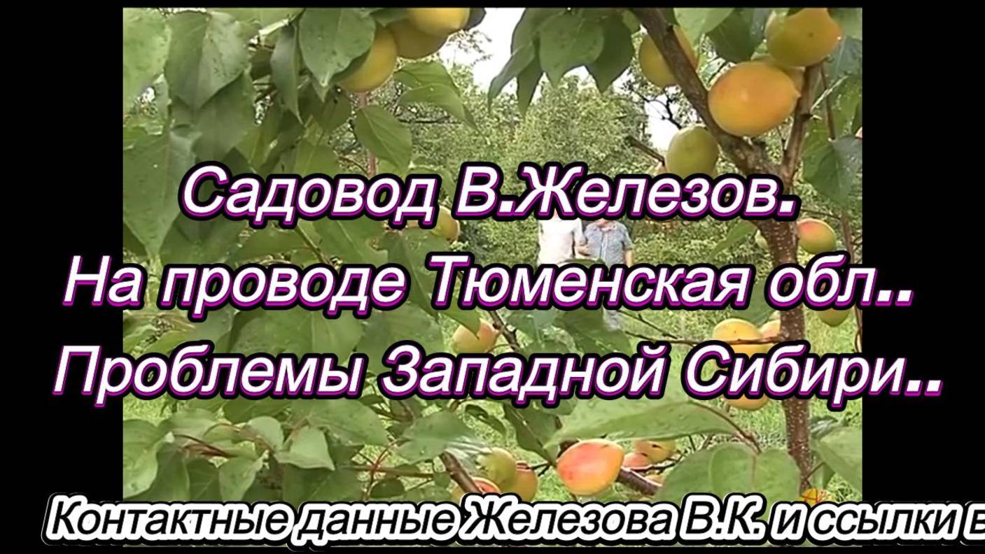 Садовод В.Железов. На проводе Тюменская обл.. Проблемы Западной Сибири..