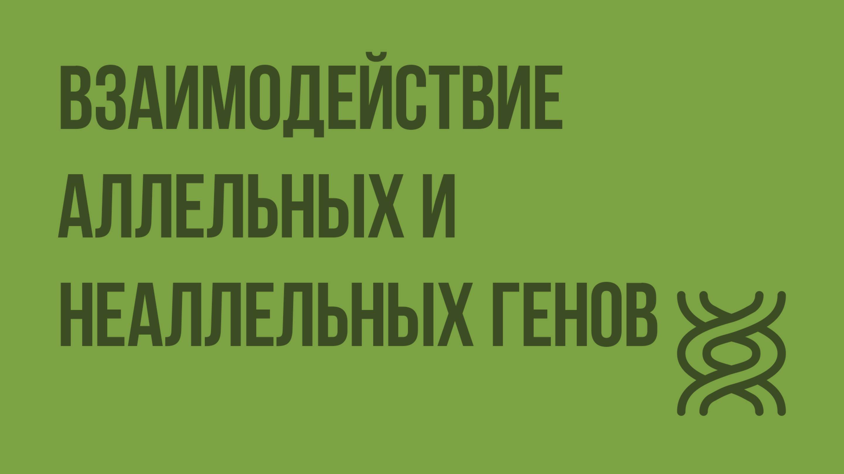 Взаимодействие аллельных и неаллельных генов. Видеоурок по биологии 9 класс