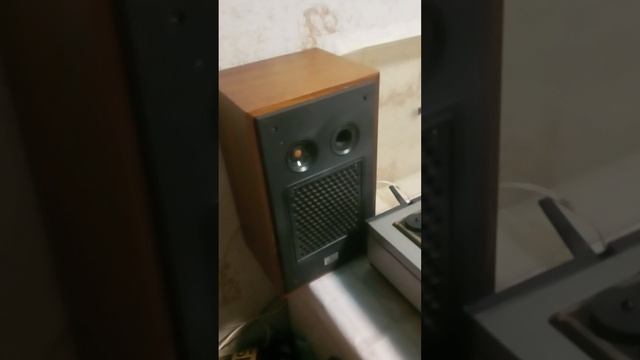 1000003097.mp4