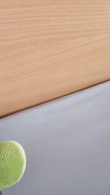 браслет Фроси заглотус