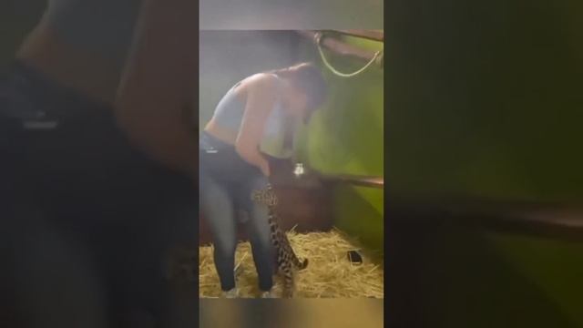 мужики заценят