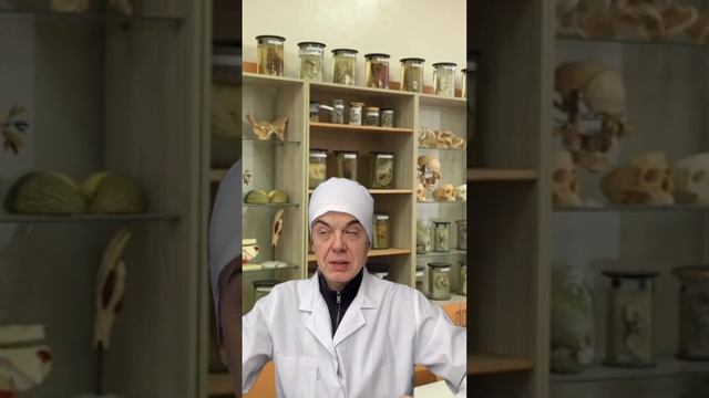 Медицинский юмор: забавные истории из жизни врачей и пациентов