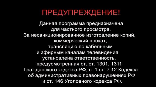 Предупреждение и Заставка компании “CD Land Video” (2014)