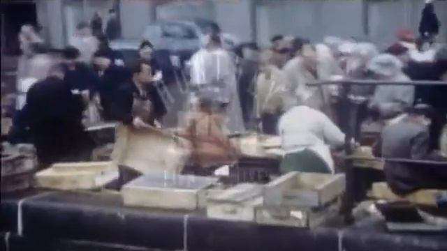 A fish market in 1950's Denmark.  Archive film 91698