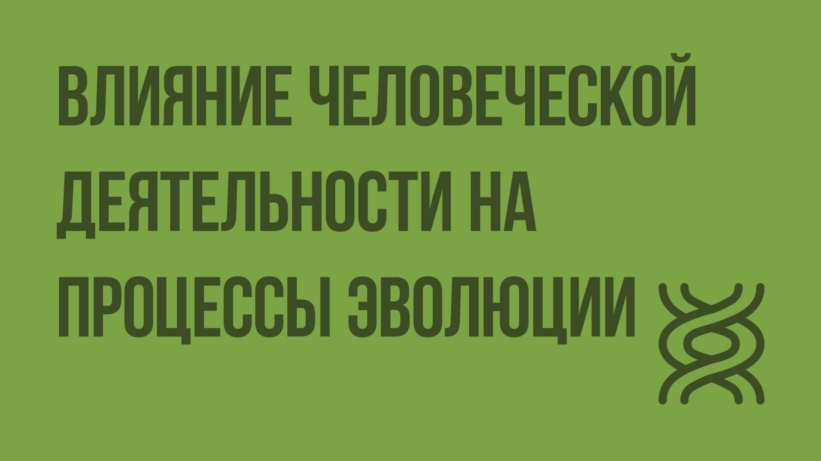 Влияние человеческой деятельности на процессы эволюции. Видеоурок по биологии 9 класс