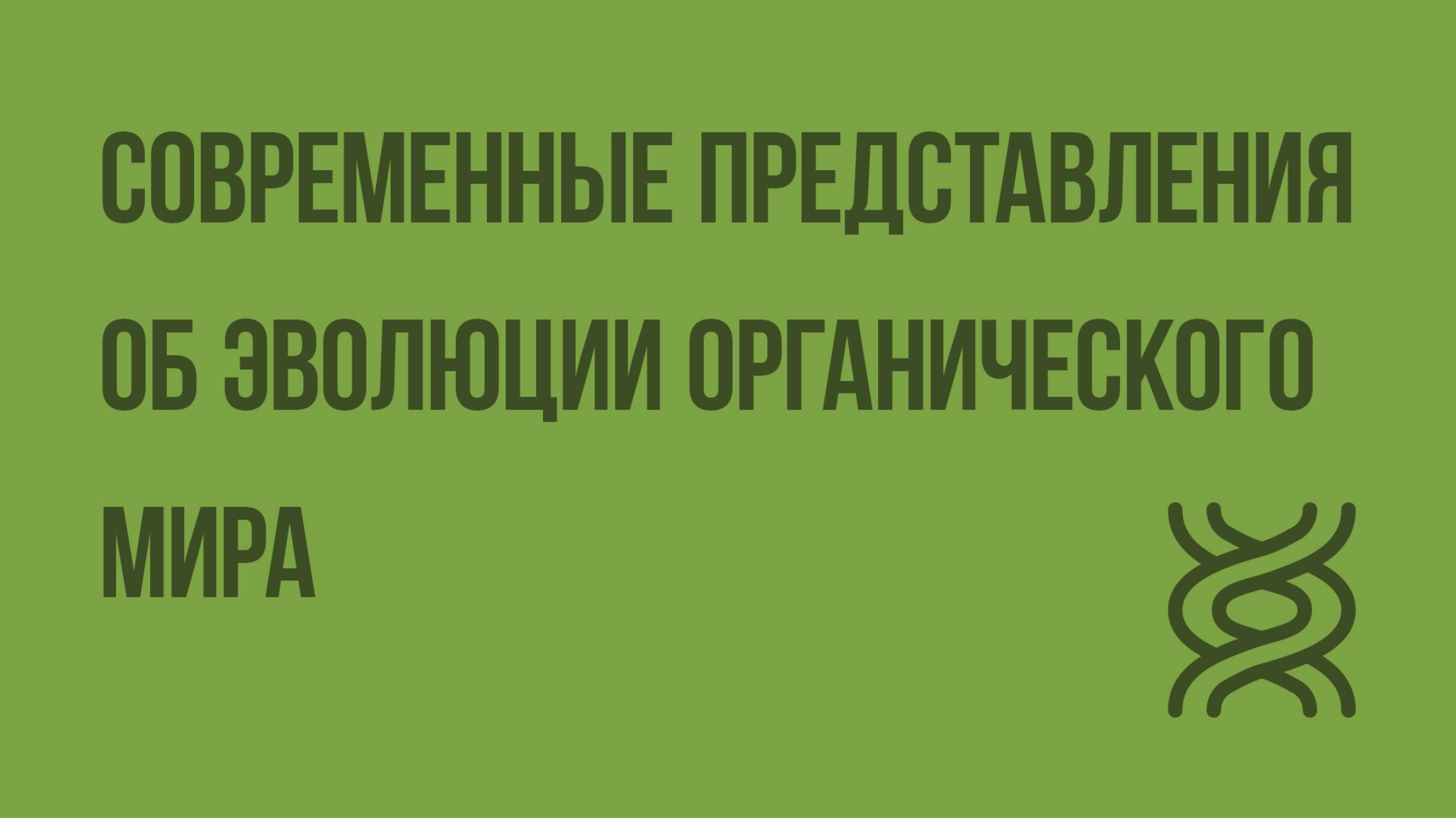Современные представления об эволюции органического мира. Видеоурок по биологии 9 класс