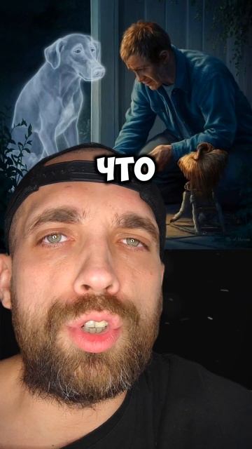 Желание твоего питомца #zloered #питомцы #животные