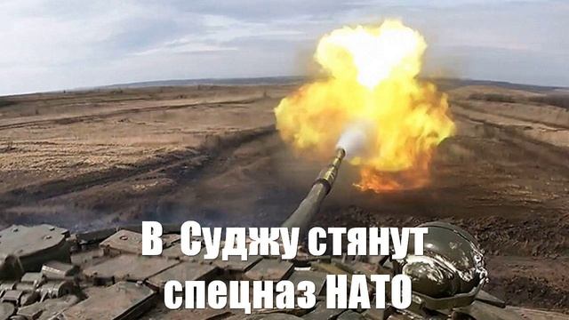В Суджу стянут спецназ НАТО. Резервы ВСУ оголены - Война на Украине