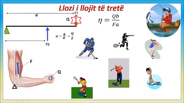J11SHNK7-Shkencat e natyres