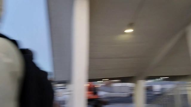 ВПЕРВЫЕ ВСТРЕТИЛ СДВОЕННУЮ ЛАСТОЧКУ В ПОЕЗДАХ! | ДалиТоп