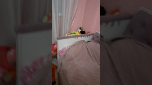 20250131_220756.mp4