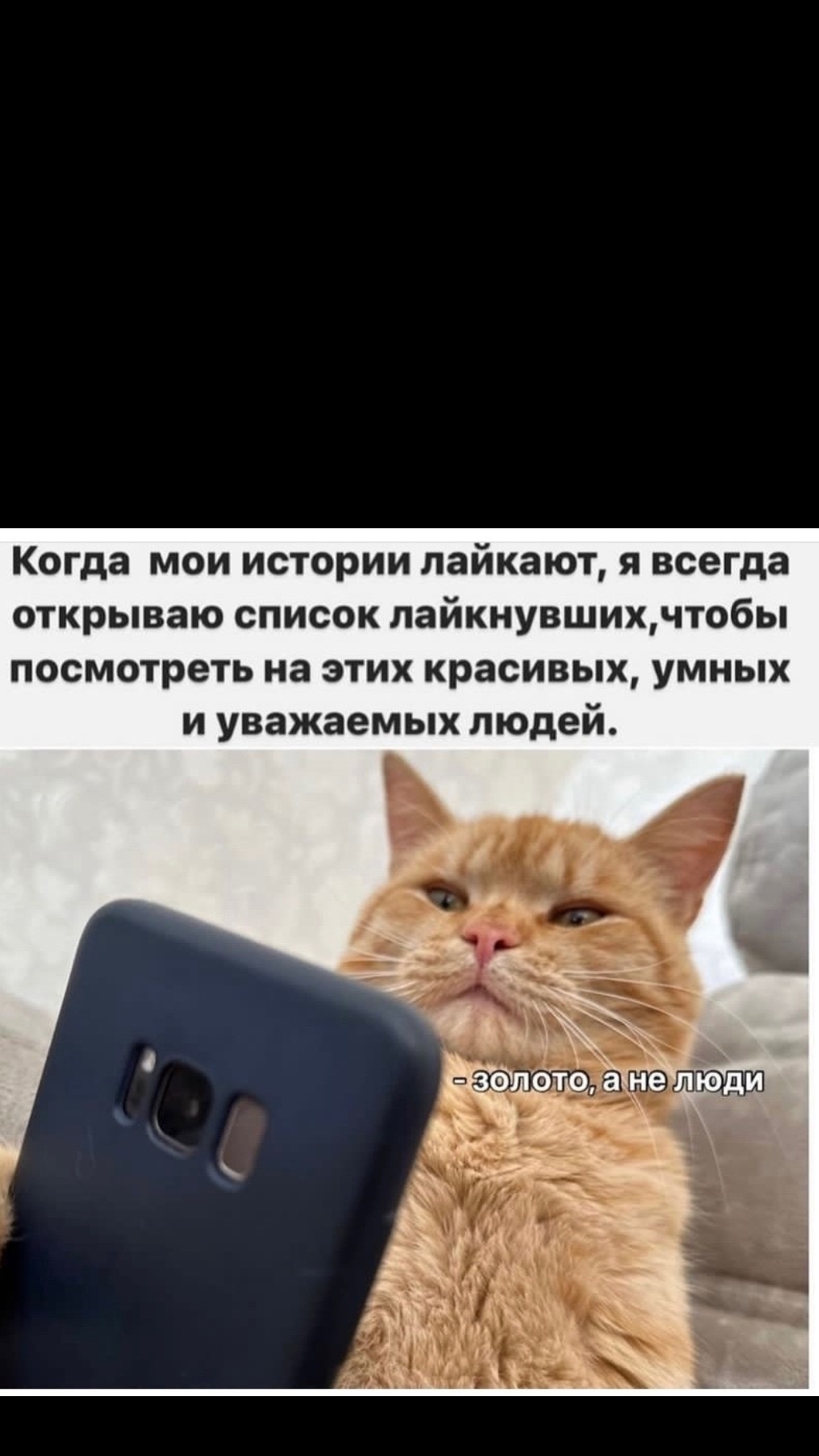 scene_output.mp4