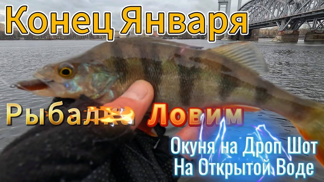 КОНЕЦ ЯНВАРЯ ДРОПШОТ ЛОВИМ ОКУНЯ НА ОТКРЫТОЙ ВОДЕ НА СПИННИНГ НА СИЛИКОНОВЫЕ ПРИМАНКИ РЕКА НЕВА СПБ