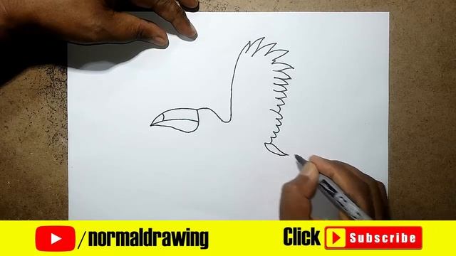 How to Draw a Toucan | Toucan Bird Drawing | Toucan Drawing Tutorial