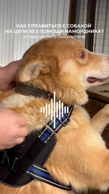 Ждём ваши отзывы- для нас это лучшее вдохновение 🥰😘
