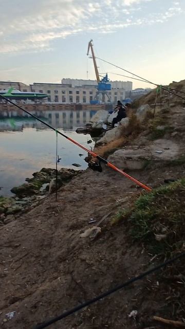 02-02-2025.Рыбалка/Кефаль.