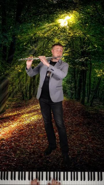 В. Ефимов "Ласковый мотив"#flute #musiс #piano #флейта #пианино #музыка