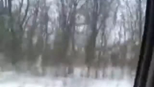 boar hunting with car  охота на кабана с автомобиля 2