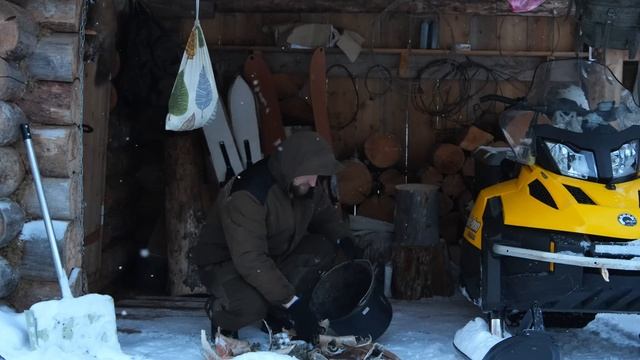 ЖИВУ В ИЗБЕ. ДОБЫВАЮ КУРОПАТОК НА ЕДУ. 20250126