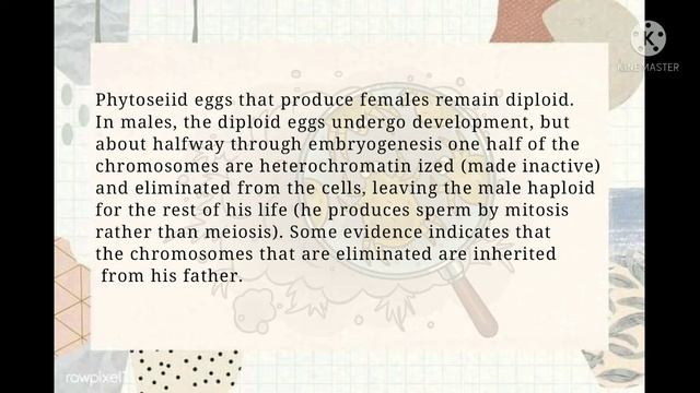 Reproduction of Predatory Mites   Reported by Quila, Stephanie H