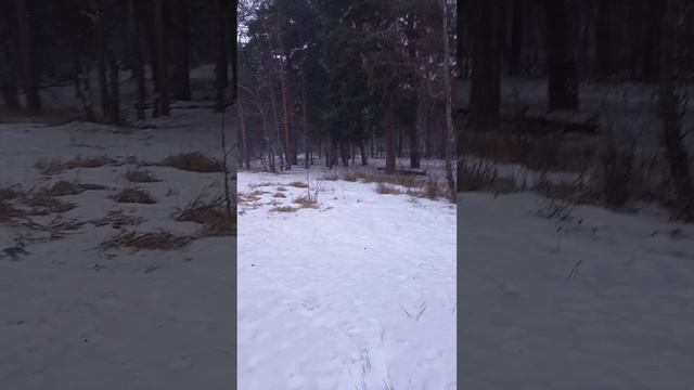 все во льду