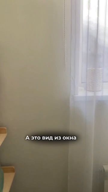 Вид из окна первого этажа. Как вам? Подробнее в закрепленном комментарии