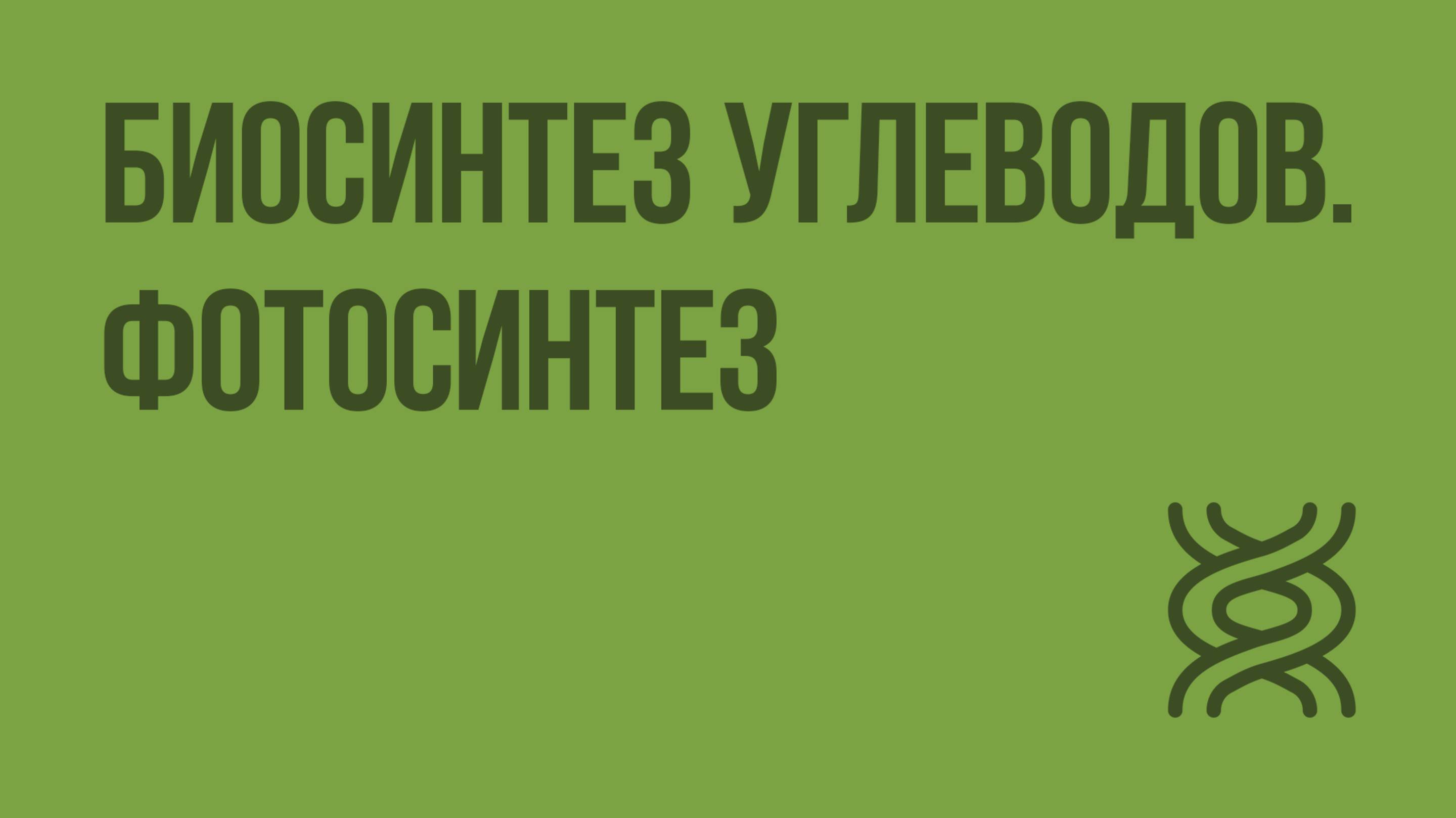 Биосинтез углеводов. ­Фотосинтез. Видеоурок по биологии 9 класс