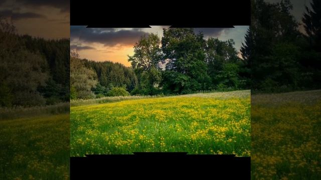 О, имя Иисуса!
Нам Так сладостно оно!