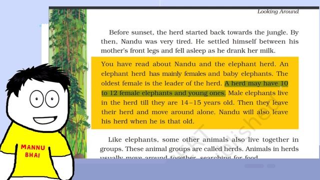 A Day with Nandu | Evs | A Day with Nandu Animation