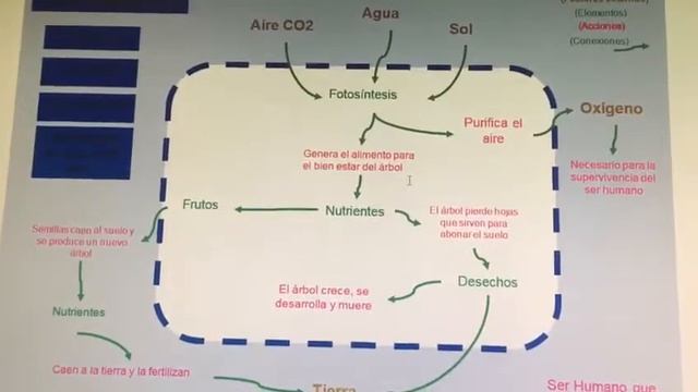 Pensamiento sistemico UVEG EA2 PARTE 1