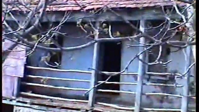 памяти Антона.mp4