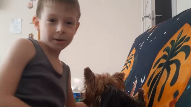 Обзор на собачку Баксик