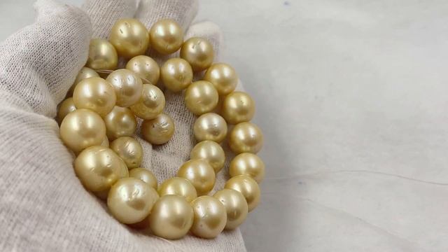 12-15mm AA light Golden round Natural South Sea Pearl Strand Necklace Salt water real pearl Necklac