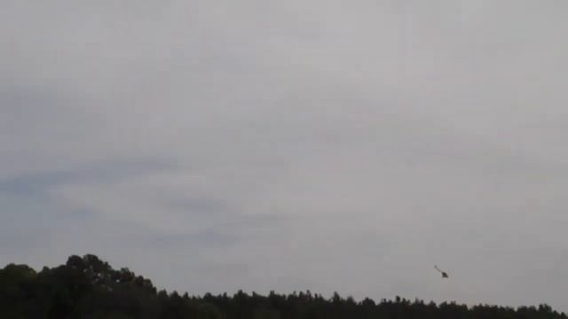 Trex 500 hardcore 3d