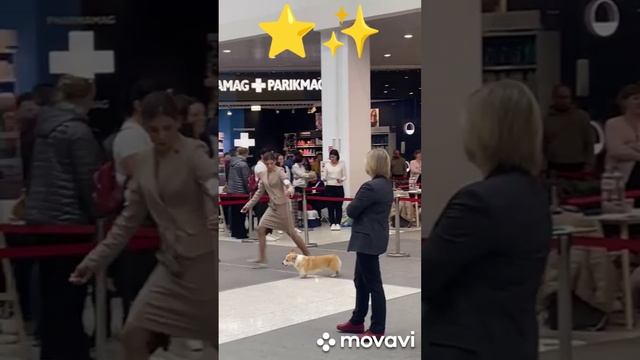 КАТЕРИНА - НОВАЯ ВОЛНА...