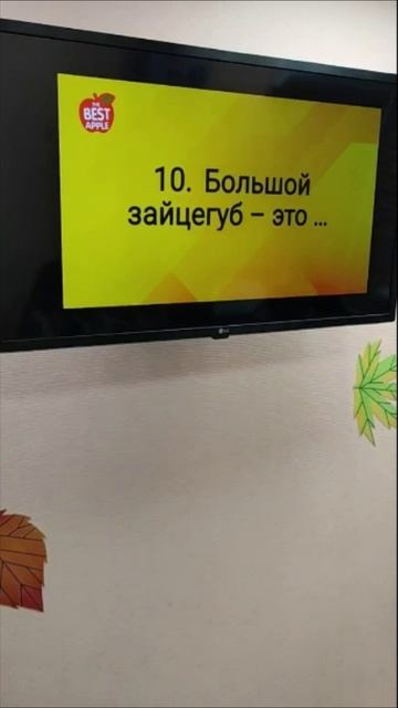 ИГРАЕМ В КВИЗ В СТУДИИ THE BEST APPLE