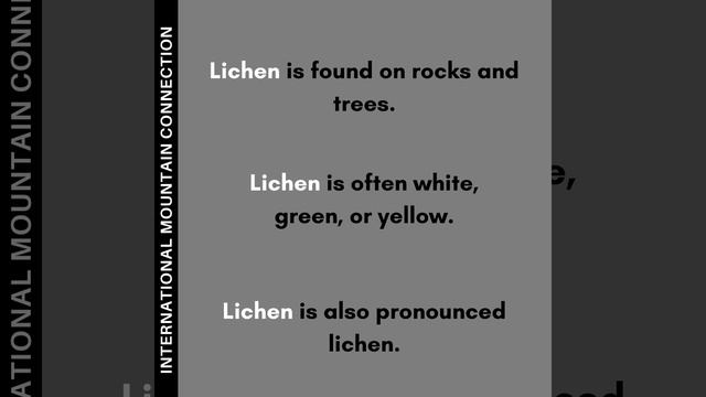 LICHEN