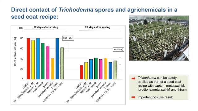 11a  Trichoderma H Whelan