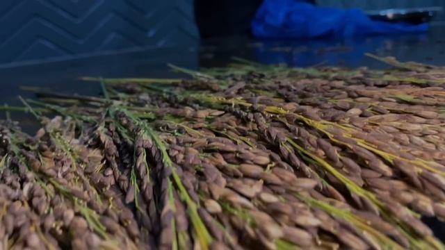How this farming is more profitable Business in pakistan