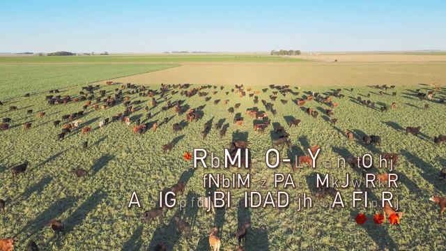 RUMINO-ZYME en recría pastoril
