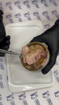 Сегодня открыли консерву: «Сырок натуральный в желе» 🐠