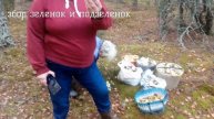 "Зелёнки и ПодЗелёнки". Поздний осенний сбор грибов в Белоруссии.