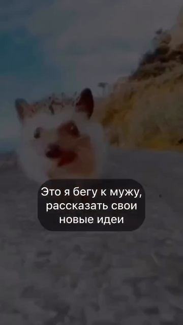 Идейным людям посвещается :)