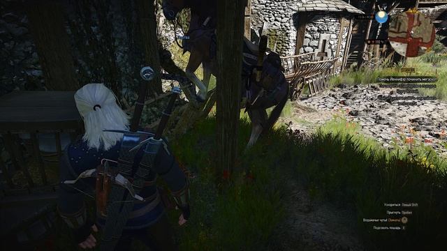 The Witcher 3. Баг с Плотвой