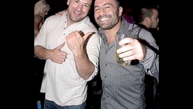 O&A - Joe Rogan and Michio Kaku discuss mushrooms and the universe  pt 2/2
