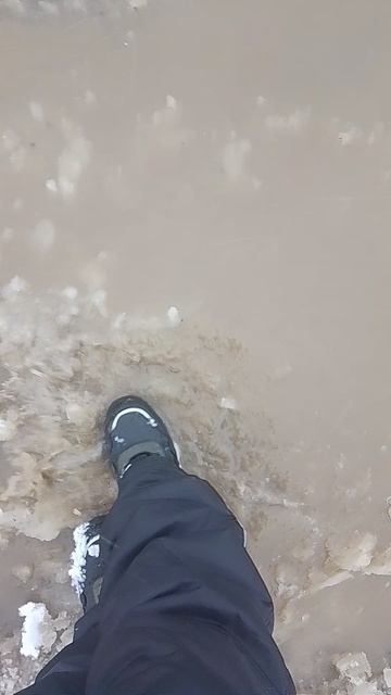 лужи