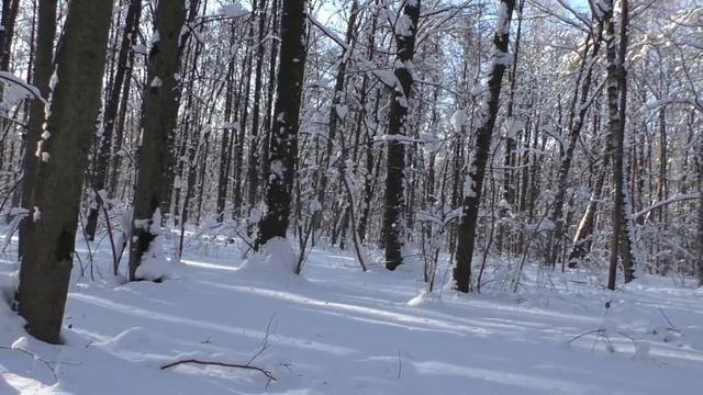 Стихи. Преображение светом