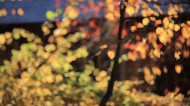 Українська пісня ВЕСЕЛКА - Ансамбль "Промінці"- Наталія Май - Заспіваймо українці