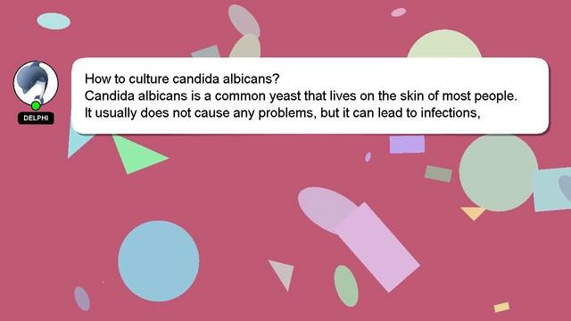 How to culture candida albicans?