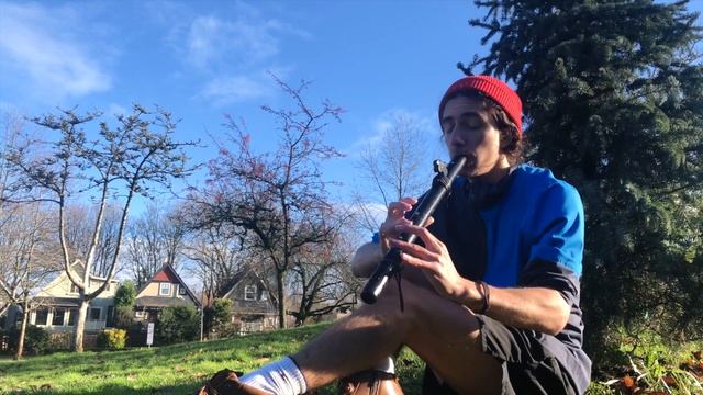 Jingle Bells - Native American Flute